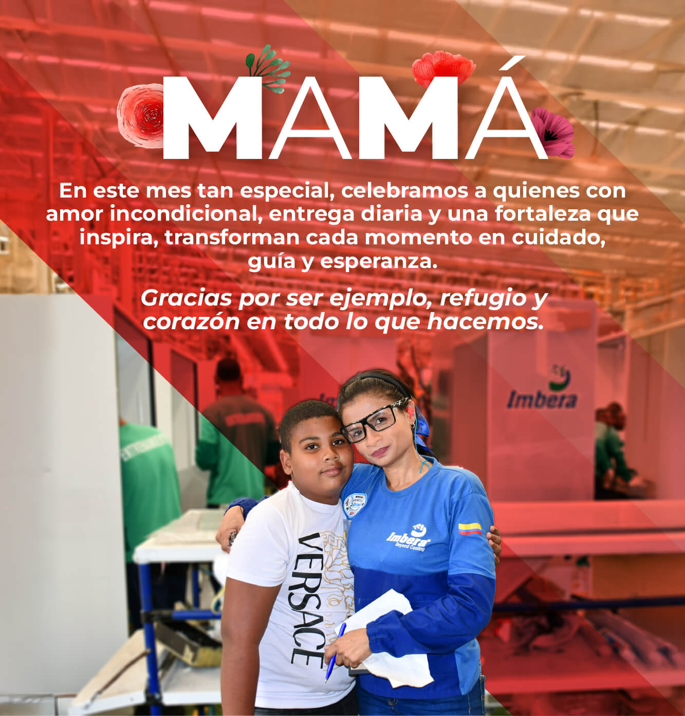 Imagen banner Imbera Cooling