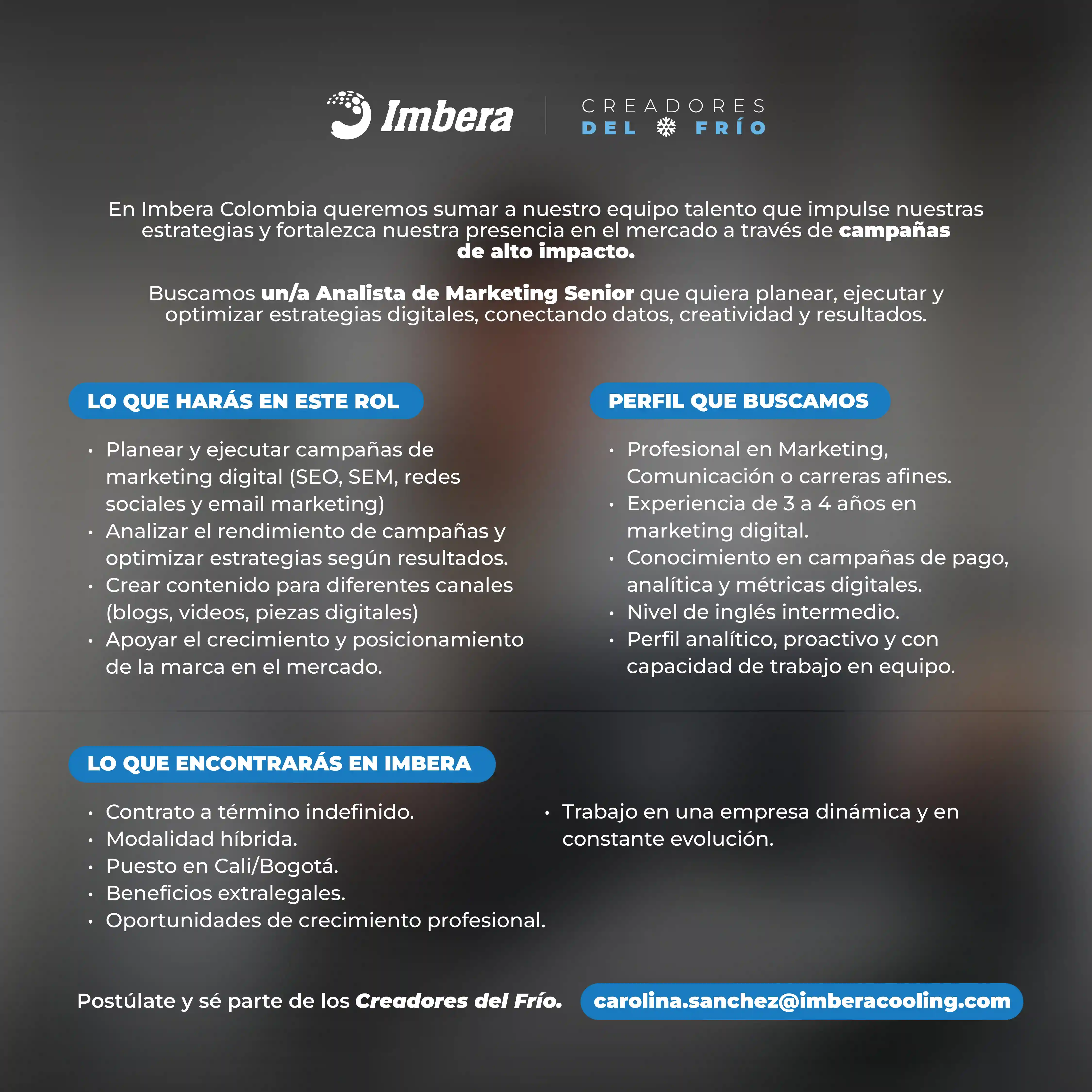 Oferta laboral Imbera Colombia Analista de Marketing