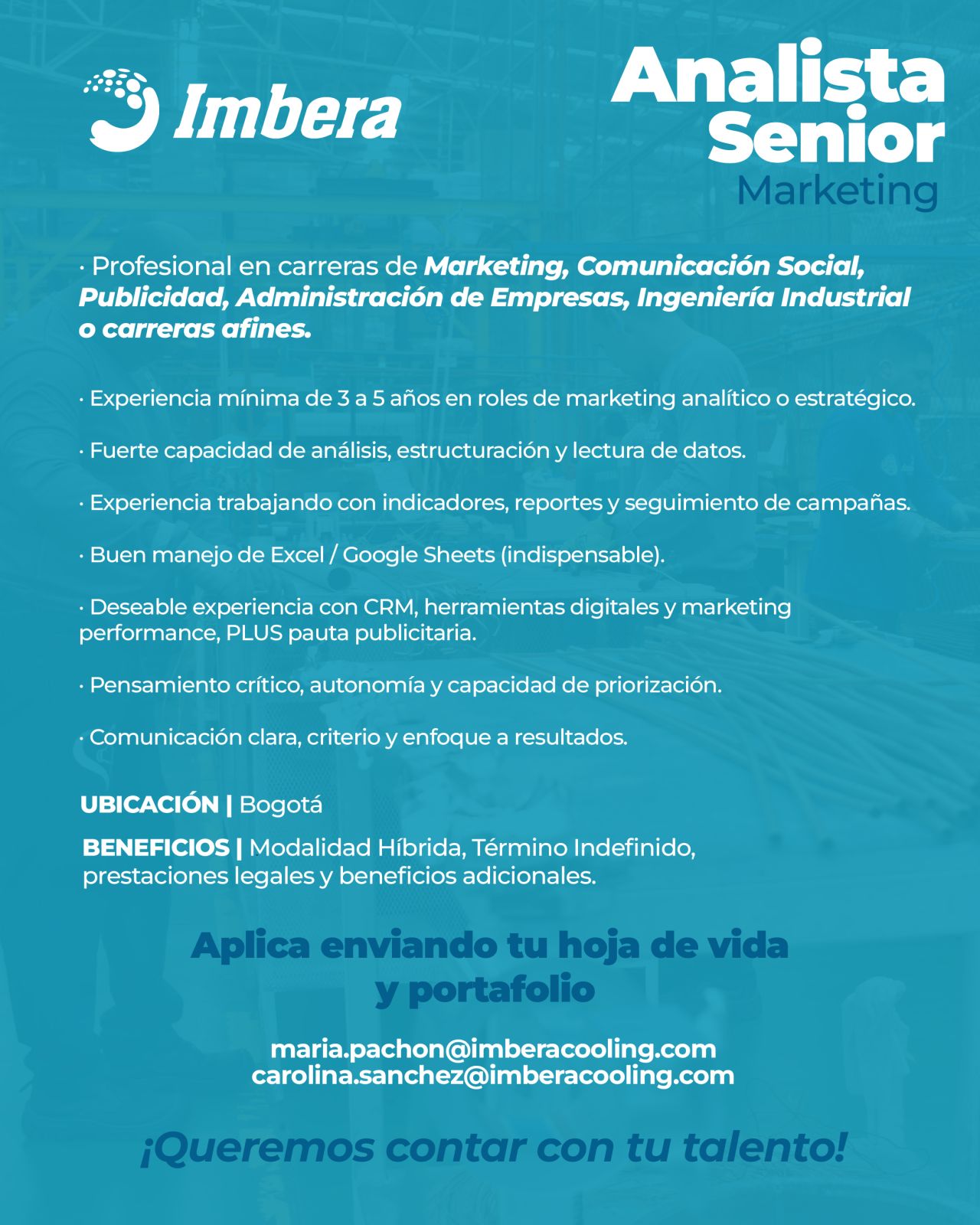 Oferta laboral analista senior marketing